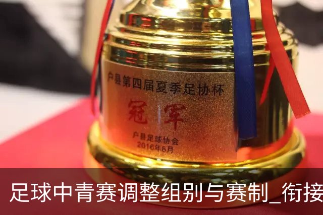 足球中青赛调整组别与赛制 衔接职业联赛